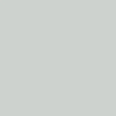 GLASSLINE GRIS BIB 56grs/GA03 - Image 2